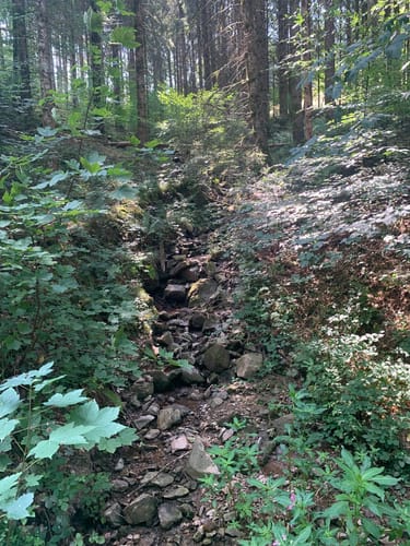 Sankt Märgen Rundweg