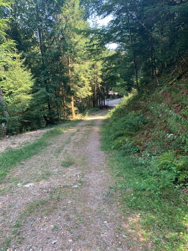 Sankt Märgen Rundweg