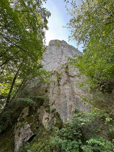 Erlebnispfad WeltWald Harz
