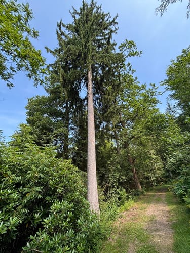 Erlebnispfad WeltWald Harz