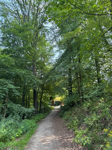 Erlebnispfad WeltWald Harz