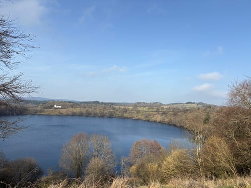 Weinfelder Maar - Mäuseberg - Schalkenmehrener Maar