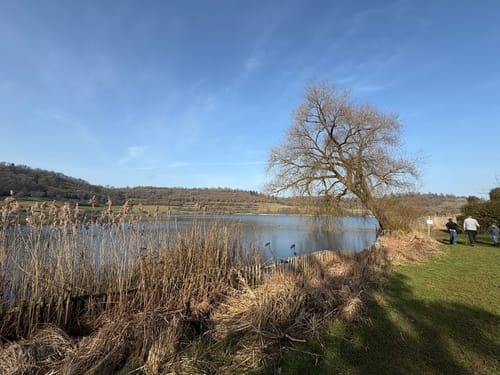 Weinfelder Maar - Mäuseberg - Schalkenmehrener Maar