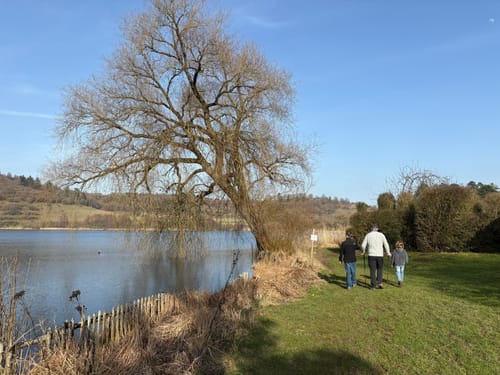 Weinfelder Maar - Mäuseberg - Schalkenmehrener Maar