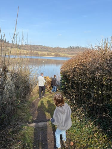 Weinfelder Maar - Mäuseberg - Schalkenmehrener Maar