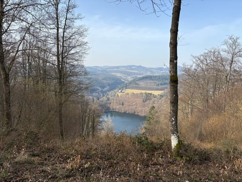 Weinfelder Maar - Mäuseberg - Schalkenmehrener Maar
