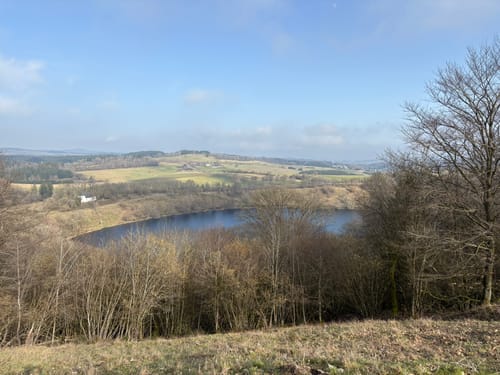 Weinfelder Maar - Mäuseberg - Schalkenmehrener Maar
