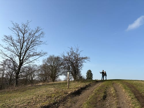 Weinfelder Maar - Mäuseberg - Schalkenmehrener Maar