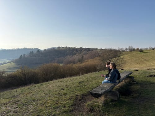 Weinfelder Maar - Mäuseberg - Schalkenmehrener Maar