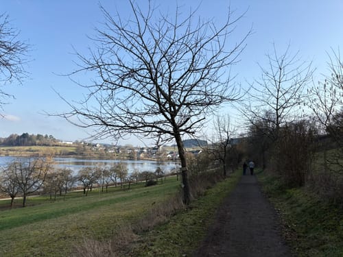 Weinfelder Maar - Mäuseberg - Schalkenmehrener Maar