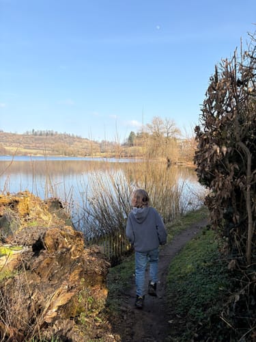 Weinfelder Maar - Mäuseberg - Schalkenmehrener Maar