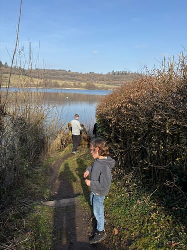 Weinfelder Maar - Mäuseberg - Schalkenmehrener Maar