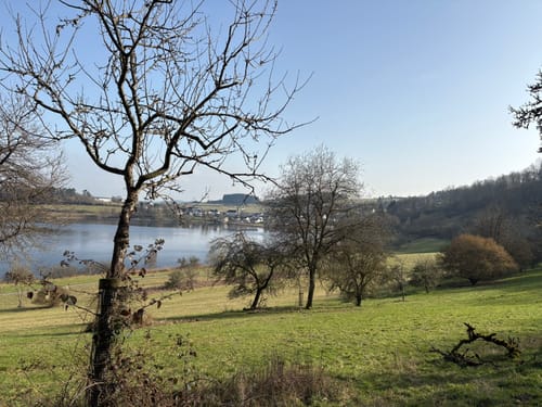 Weinfelder Maar - Mäuseberg - Schalkenmehrener Maar