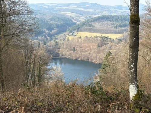 Weinfelder Maar - Mäuseberg - Schalkenmehrener Maar