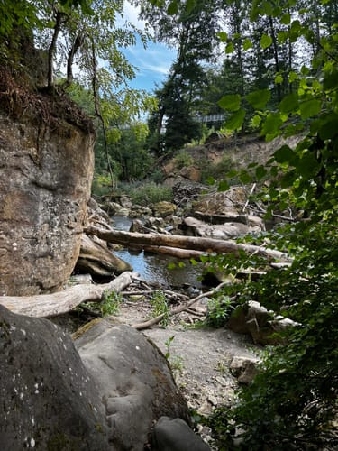 Irrel - Teufelsschlucht Runde