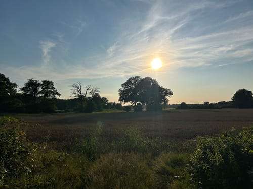 Himmelmoor Rundwanderung