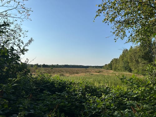 Himmelmoor Rundwanderung
