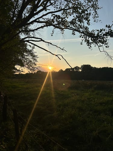 Himmelmoor Rundwanderung