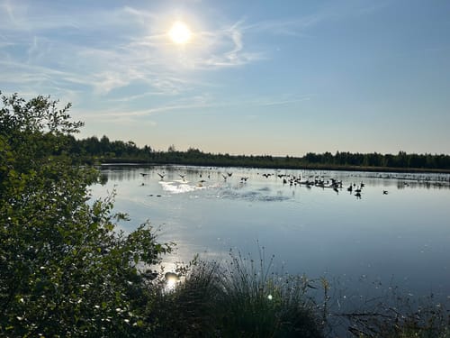 Himmelmoor Rundwanderung