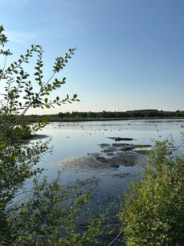 Himmelmoor Rundwanderung