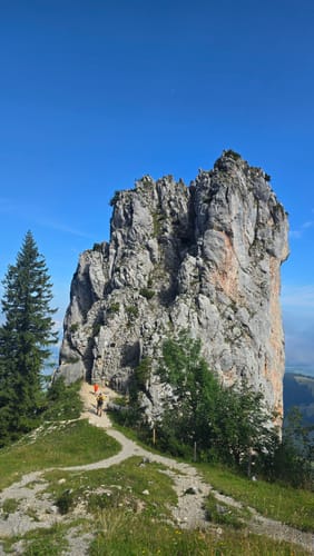 Steinling Alm
