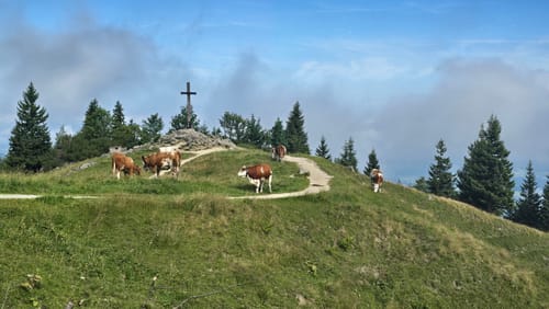 Steinling Alm
