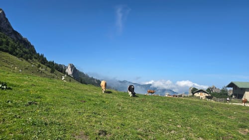 Steinling Alm