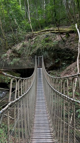 Römerpfad (Premiumwanderweg)