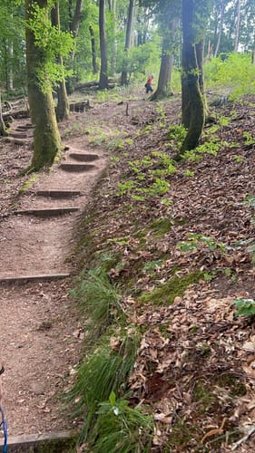 Römerpfad (Premiumwanderweg)
