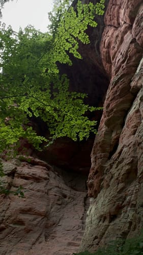 Römerpfad (Premiumwanderweg)