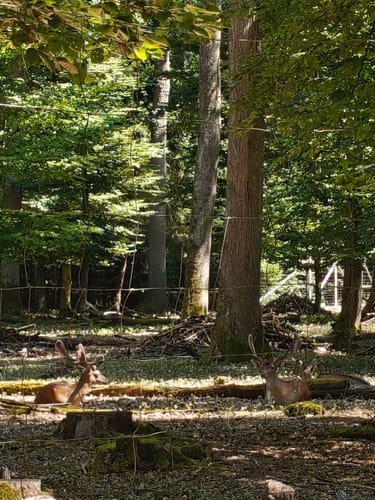 Naturpark Schönbuch Rundweg