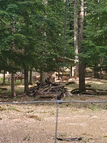 Naturpark Schönbuch Rundweg