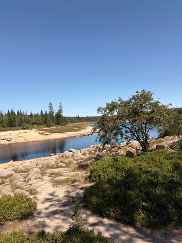 Rundwanderweg Oderteich