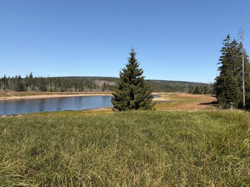 Rundwanderweg Oderteich