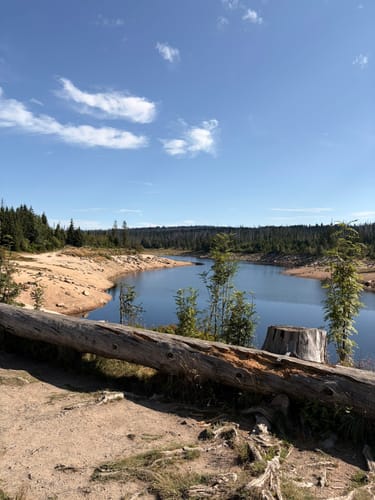 Rundwanderweg Oderteich