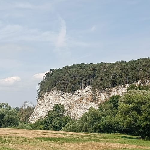 Sachsteinblick und Kranichteiche ab Bahnhof Bad Sachsa