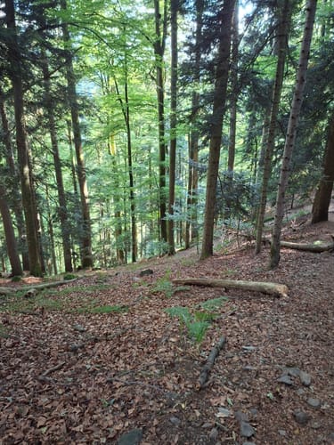 Zweribachwasserfälle