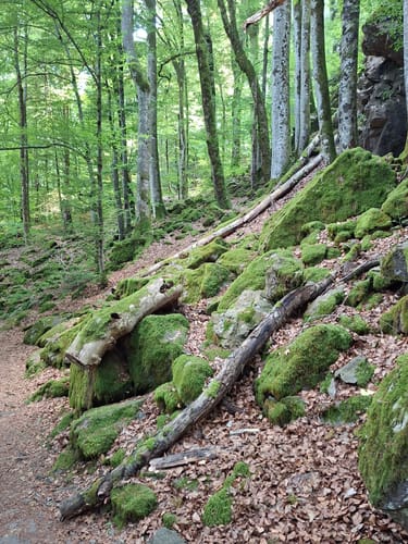 Zweribachwasserfälle