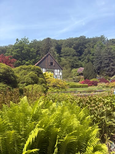 Grünfuchs-Pfad