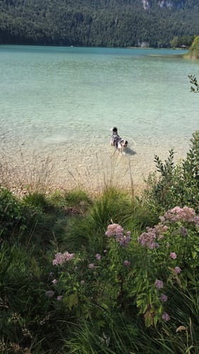 Rund um den Weißensee