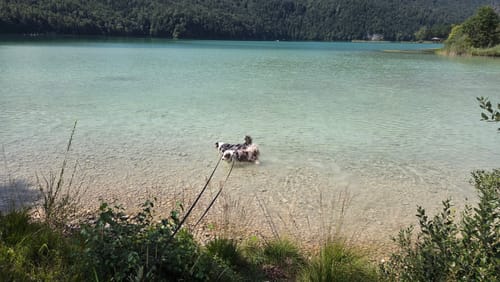 Rund um den Weißensee