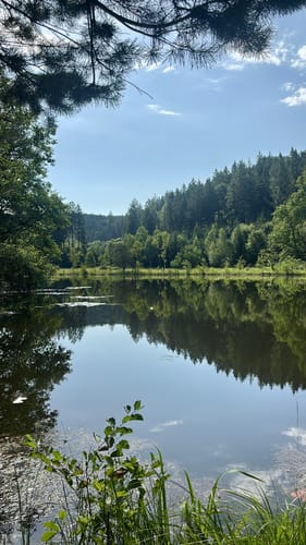 Rundweg Eppenbrunn 1
