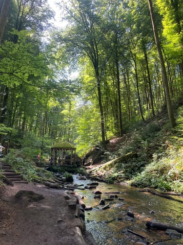 Trippstadt Rundweg 4: Karlstalrundweg