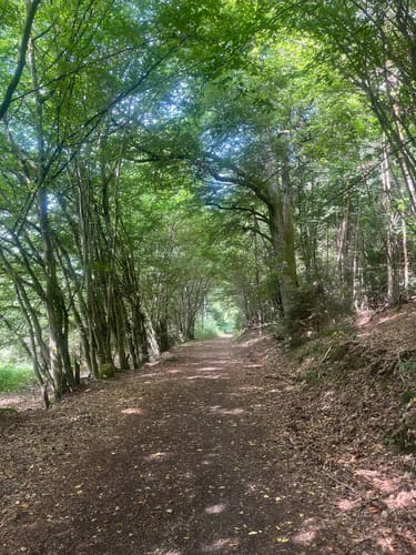 Trippstadt Rundweg 4: Karlstalrundweg