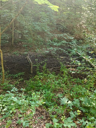 Naturpark Schönbuch Rundweg