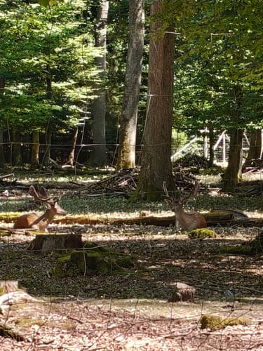 Naturpark Schönbuch Rundweg