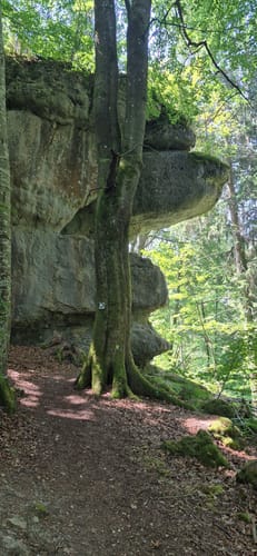 Felsengarten Klumpertal (Naturlehrpfad - schwarzer Ring)
