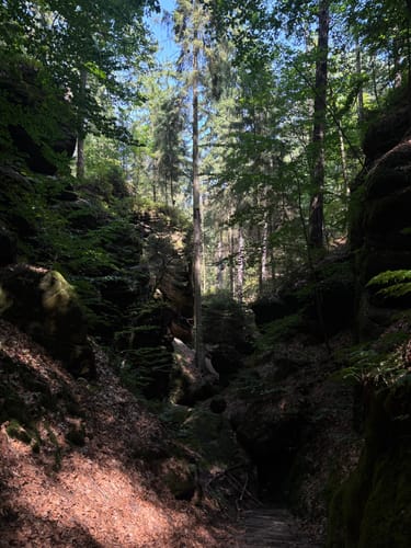 Durch den Uttewalder Grund zum Teufelsgrund