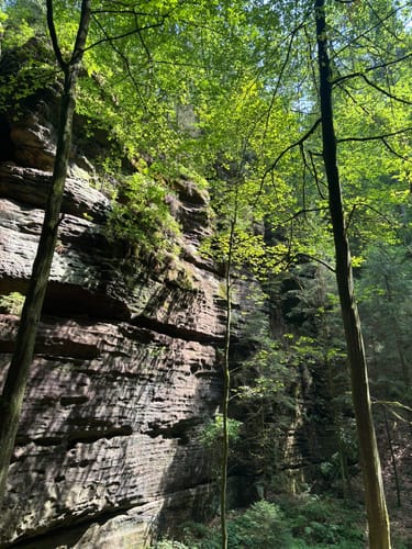 Durch den Uttewalder Grund zum Teufelsgrund