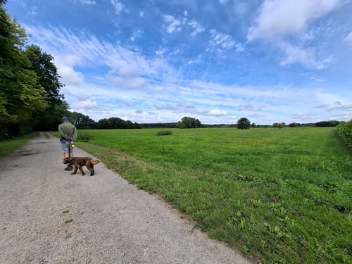 Südheide 'In einem Bächlein helle' W6m (mittlere Tour)